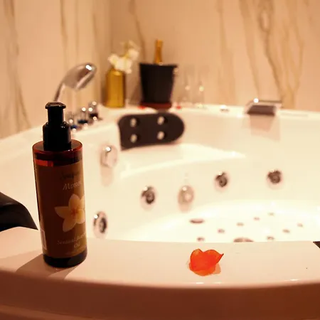 Love - Jacuzzi - Apartment Provins